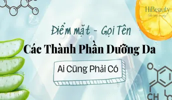 Điểm Mặt Các Thành Phần Dưỡng Da Mà Ai Cũng Nên Có